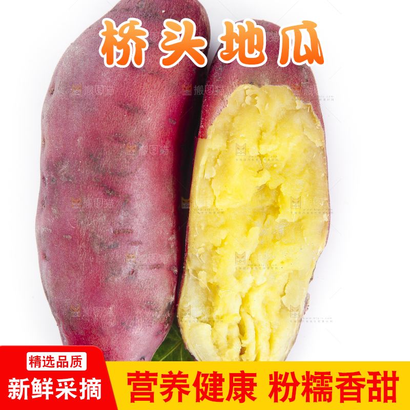 白底上摆放着桥头红薯