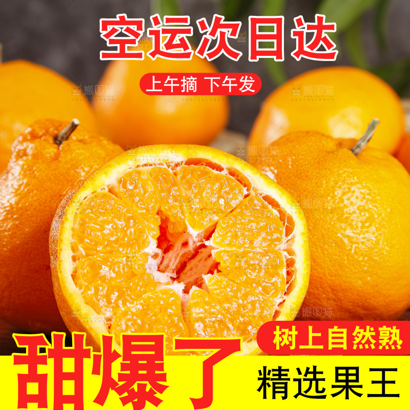 木板上的春见耙耙柑