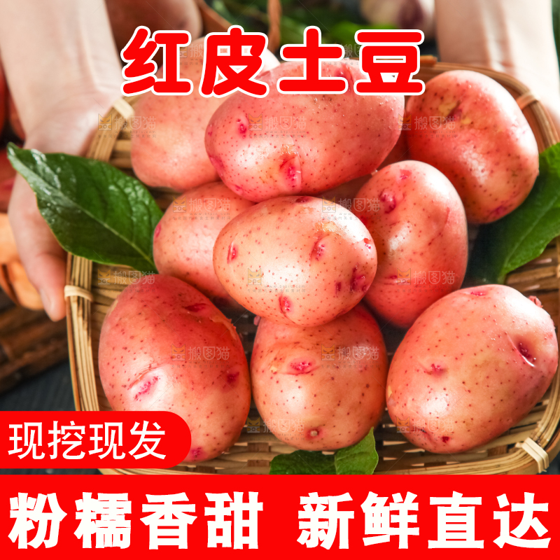 手里捧着一篮云南红皮土豆