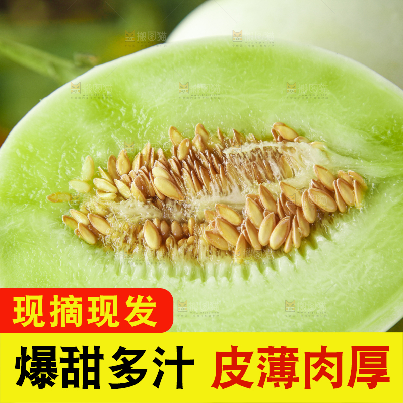 切开的玉菇香瓜