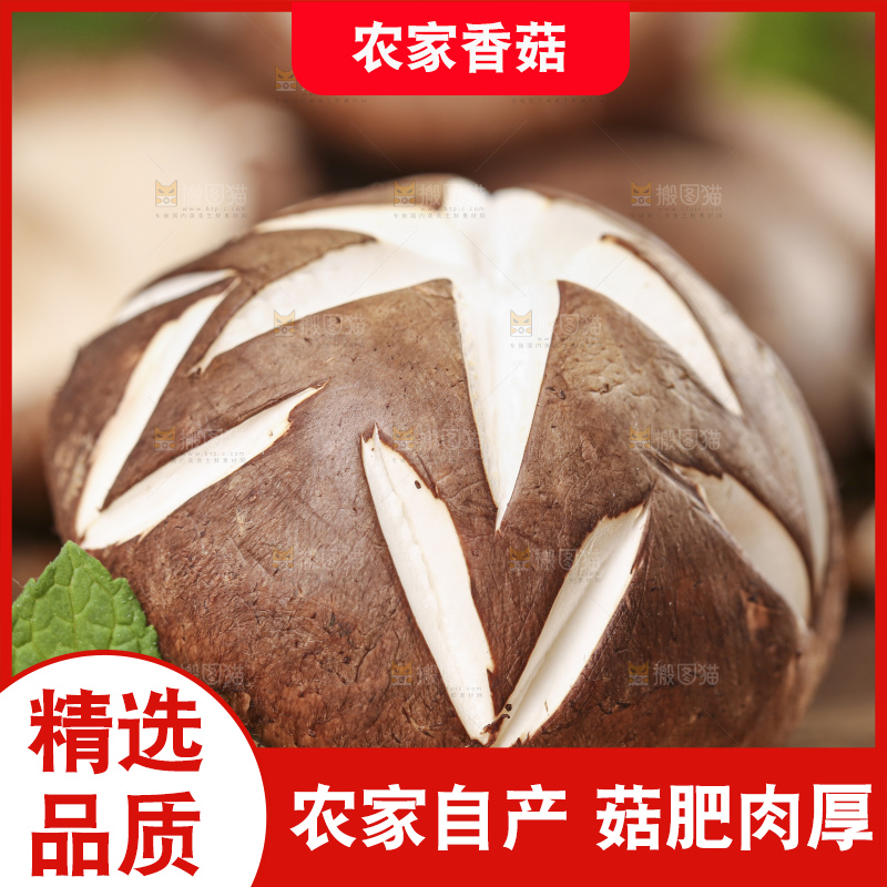 木底上摆放着菌菇