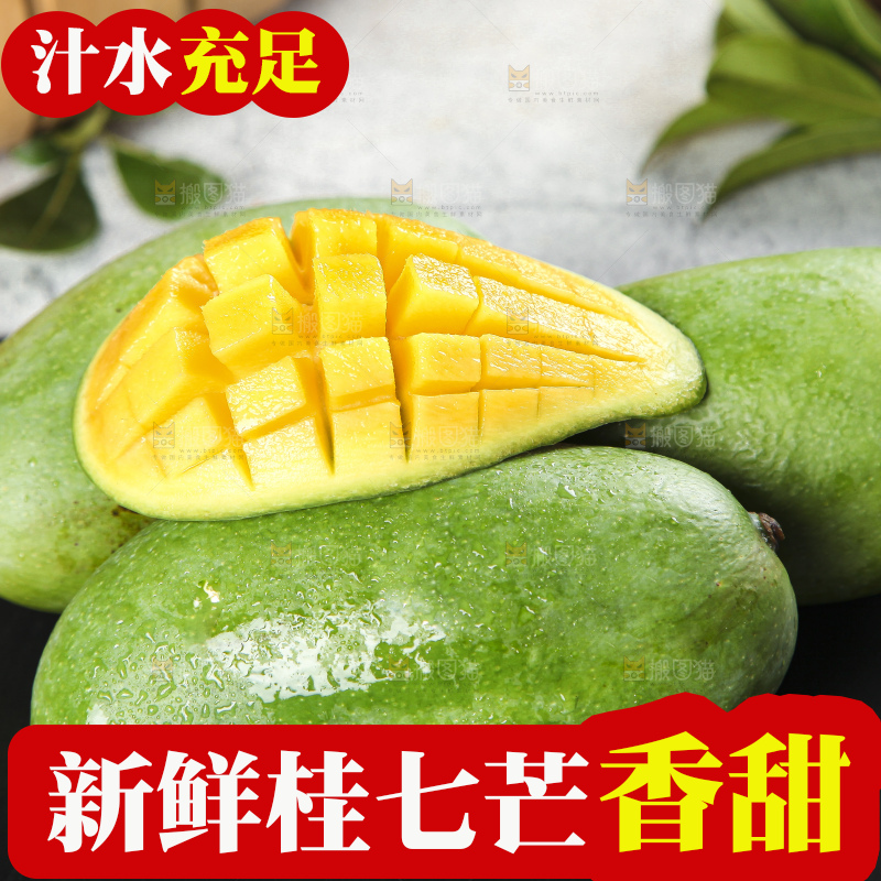石板上的青皮桂七芒