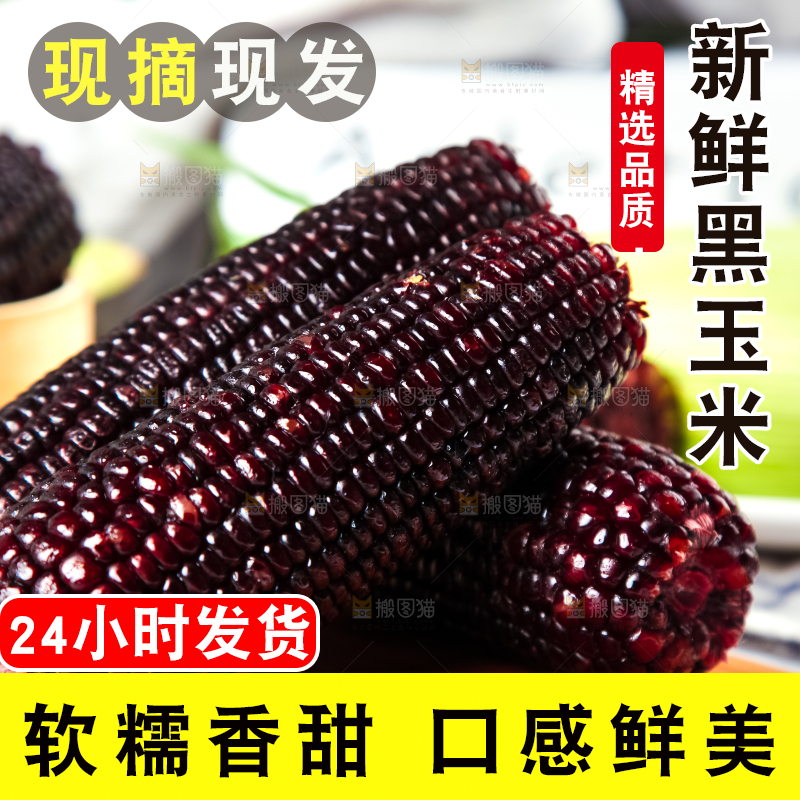 木底上放着东北黑玉米