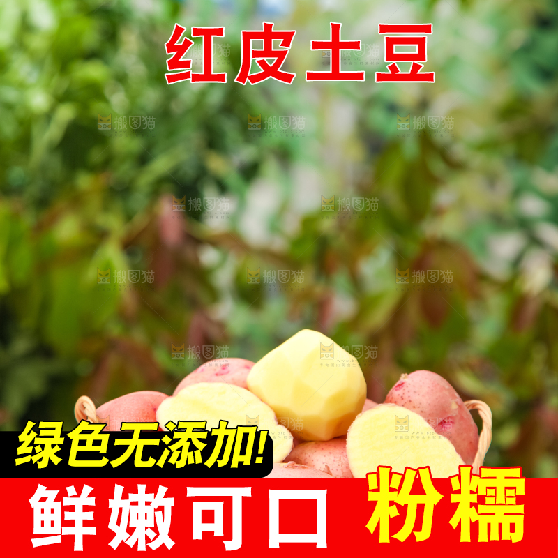 篮子里装着高山红皮土豆