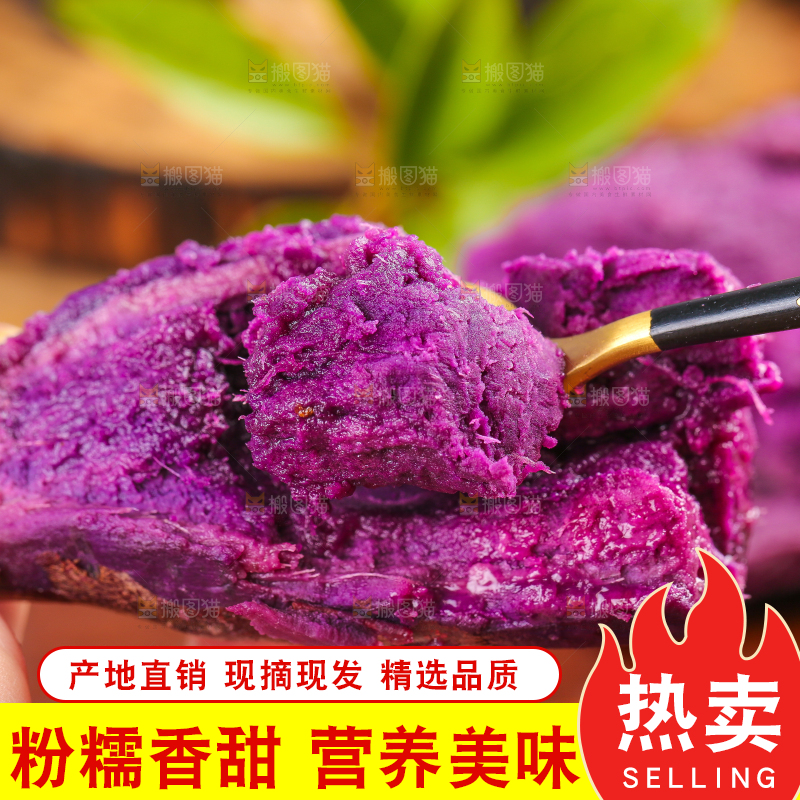 勺子里的紫薯果肉