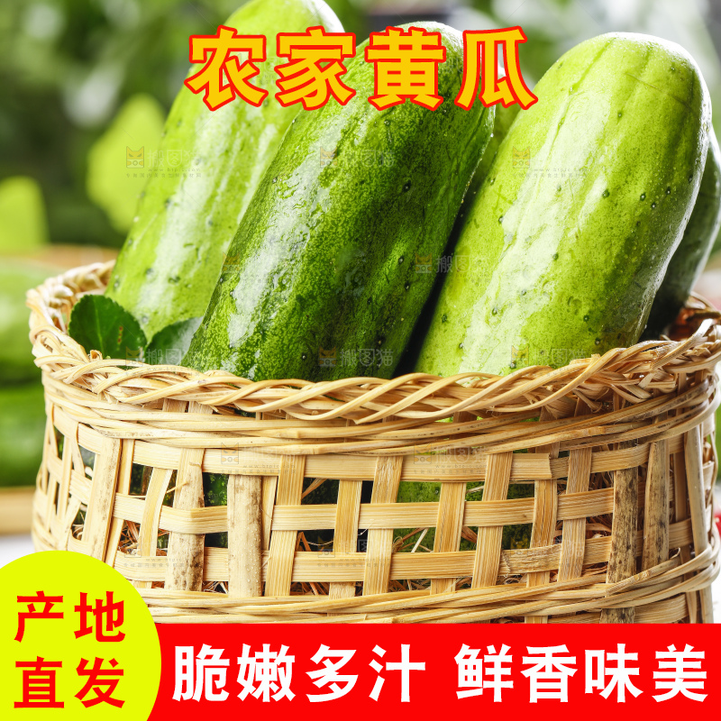 篮子里装着新鲜黄瓜