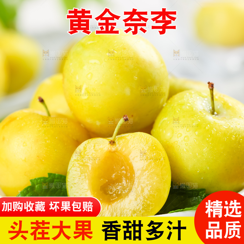 木板上的黄金李