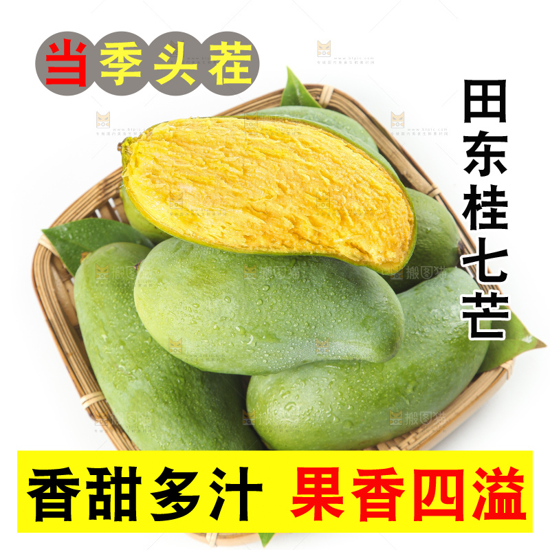 白底上放着青皮桂七芒