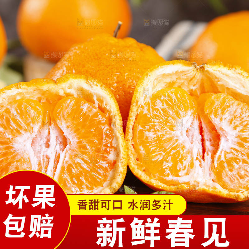 木板上的春见耙耙柑
