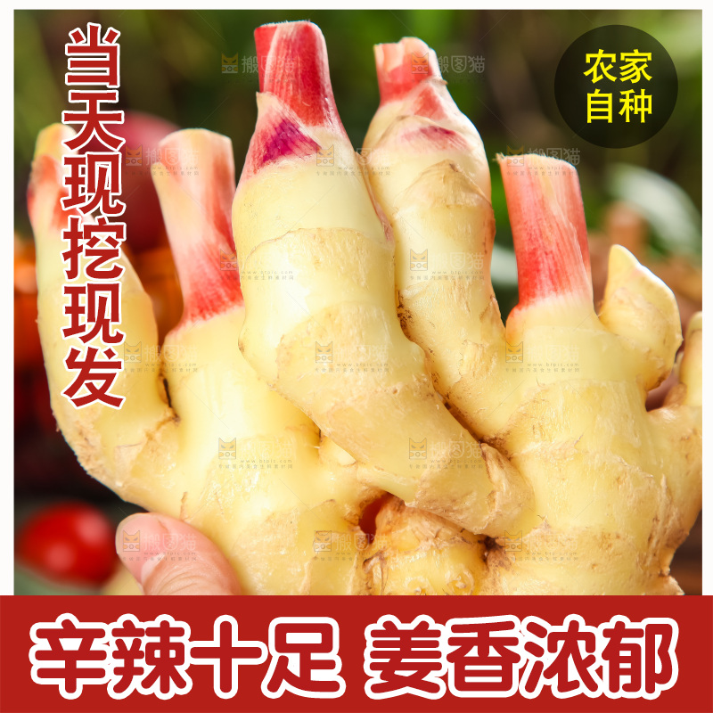 手里拿着嫩姜