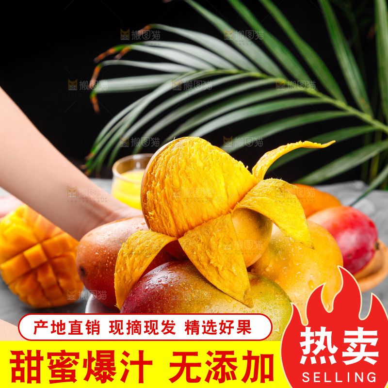 手里拿着爱文芒