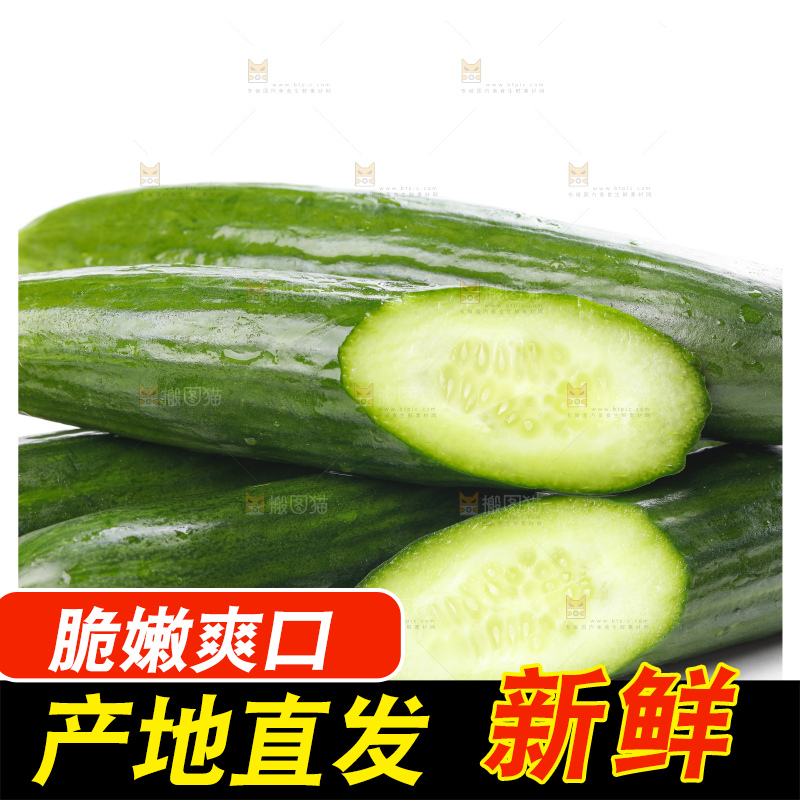 白底上摆放着嫩黄瓜