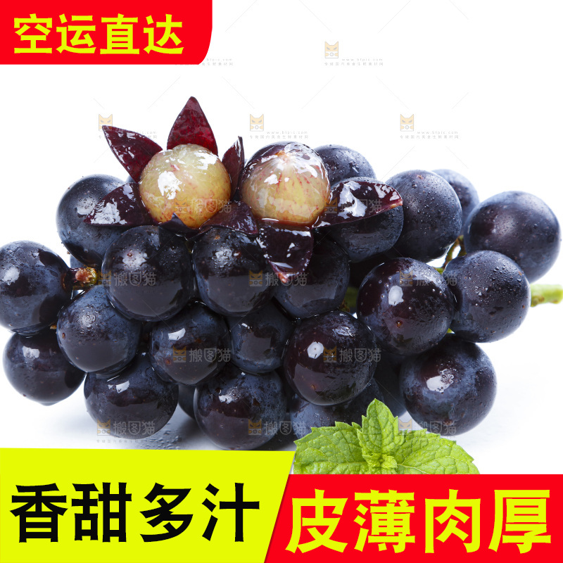 白底上的巨峰葡萄