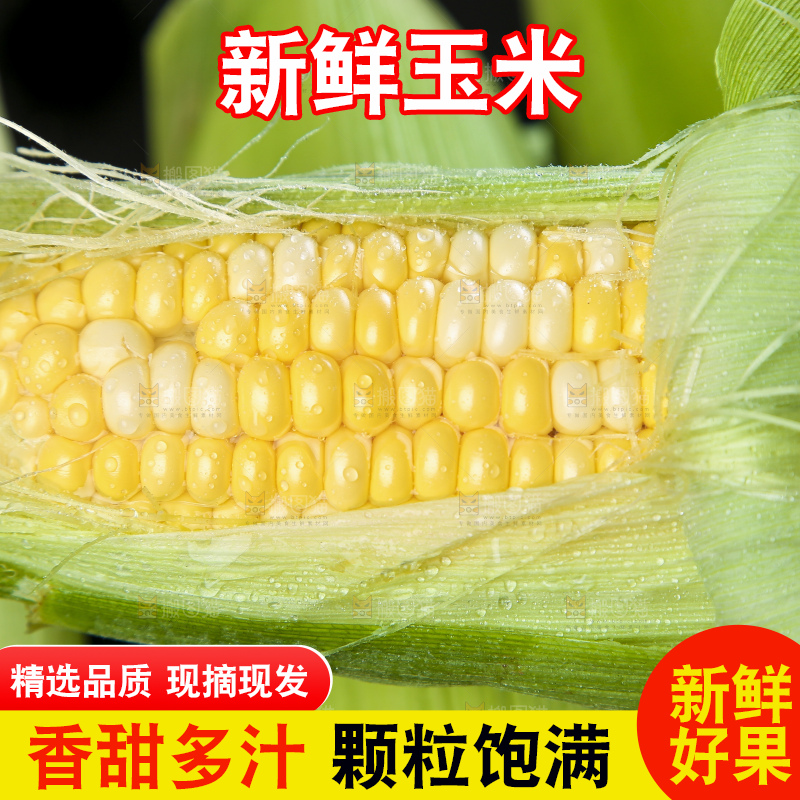 黑底上的云南水果玉米