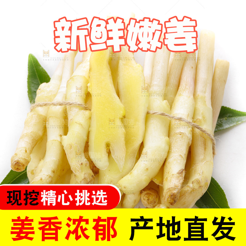 白底上的一堆新鲜生姜