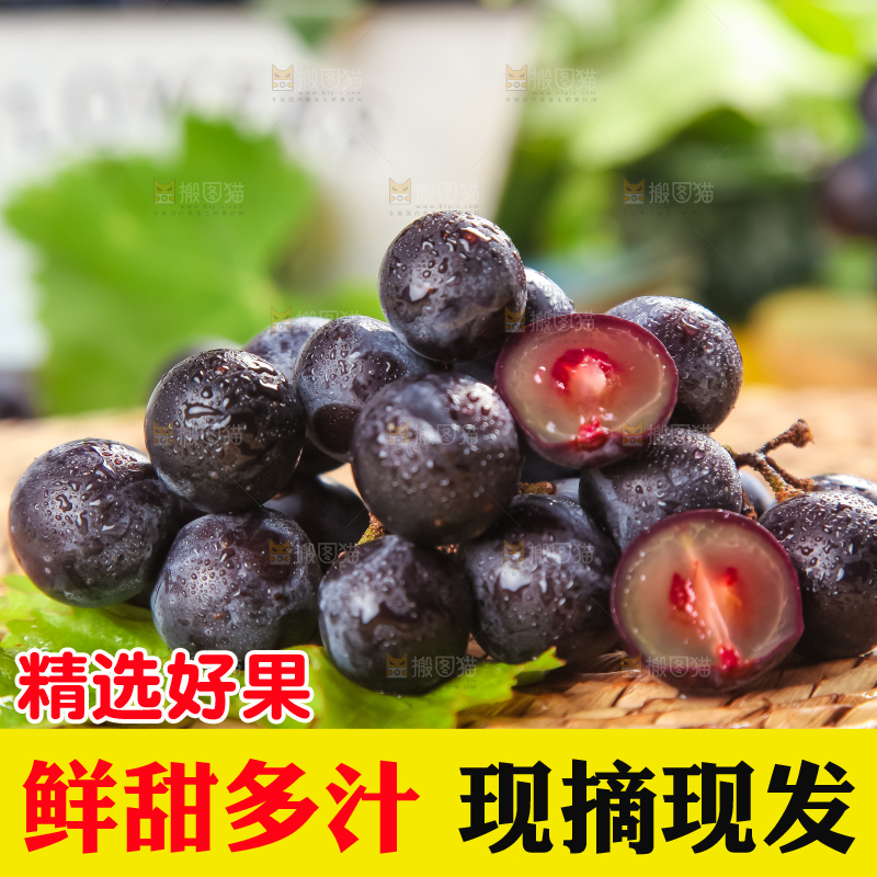 垫子上的云南夏黑无籽葡萄