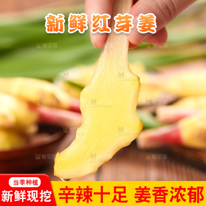 手里拿着新鲜生姜