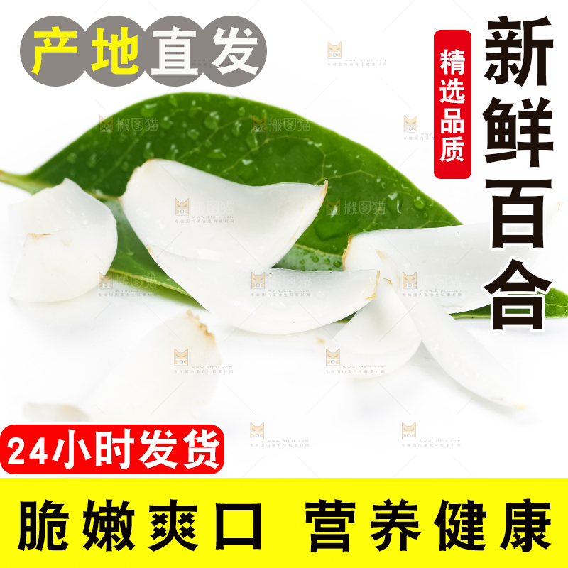 枝叶上摆放着鲜百合