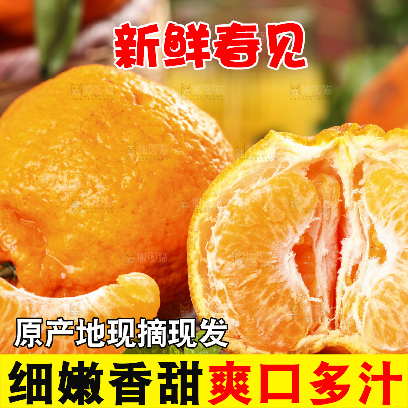 深底上放着春见橘柑