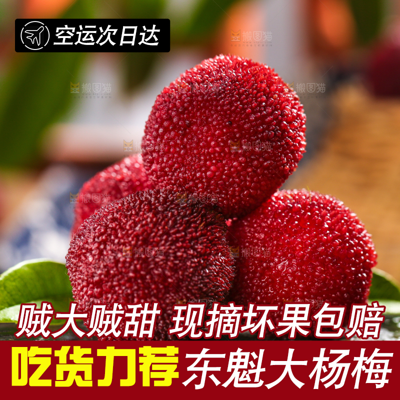 深底上放着余姚杨梅