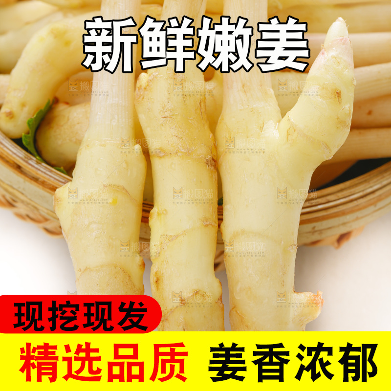 白底上的一堆新鲜生姜