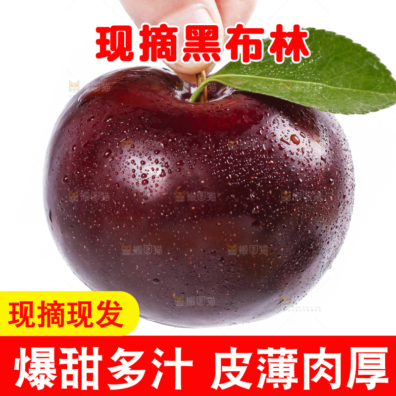 手里拿着黑布林