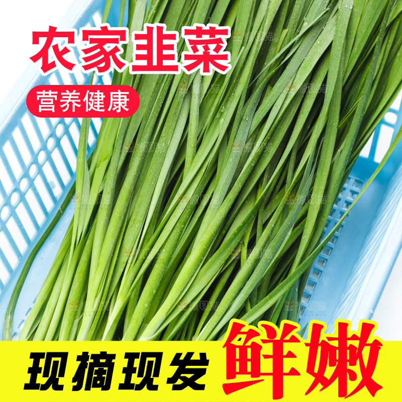 篮子里装着韭菜