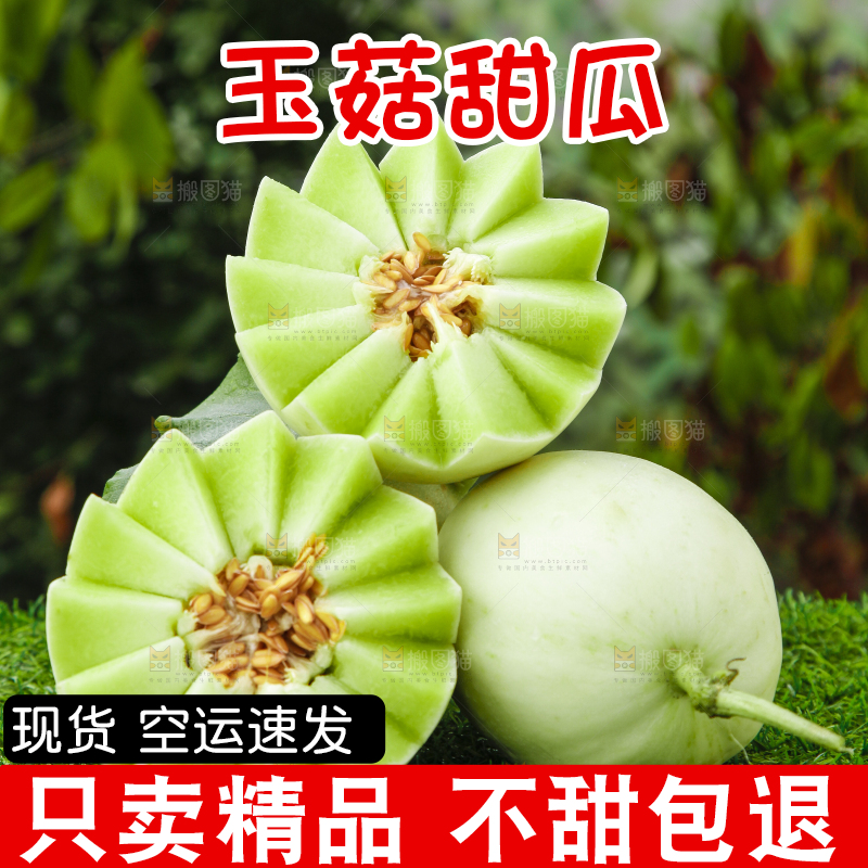 绿草地上摆放着玉菇甜瓜