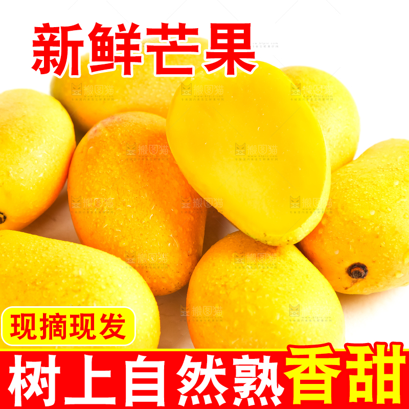 白底上摆放着小台芒