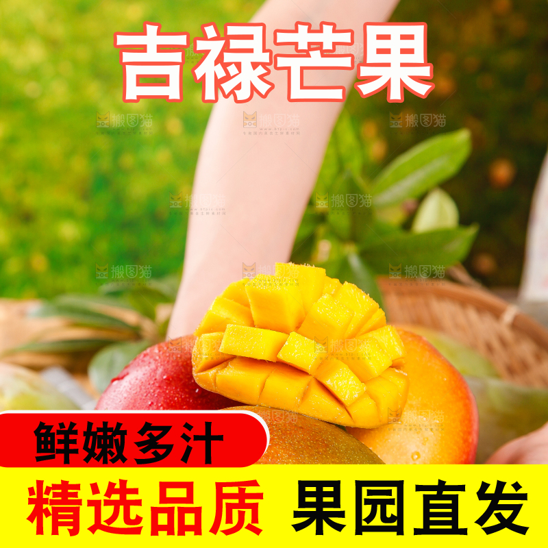 手里拿着新鲜芒果