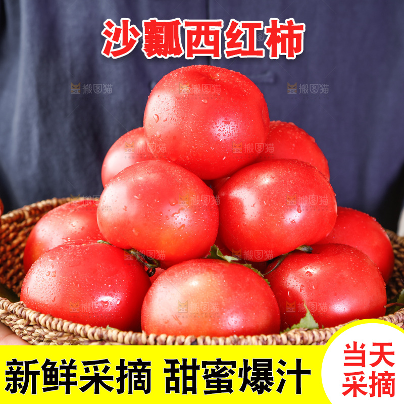 农民手里端着一篮子番茄