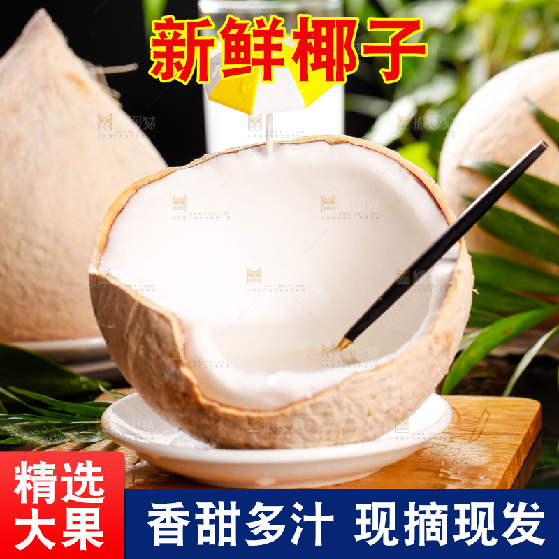 木底上摆放着海南椰子