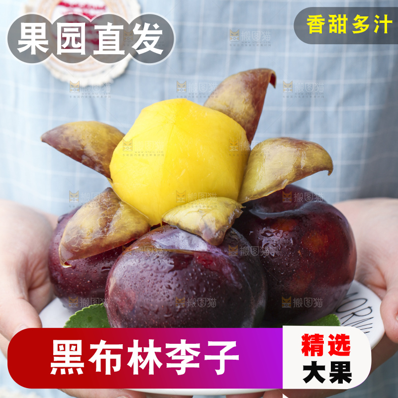 手里拿着一盘黑布林