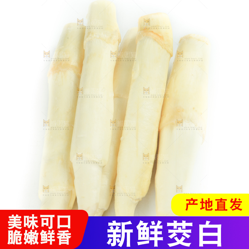 白底上摆放着茭笋