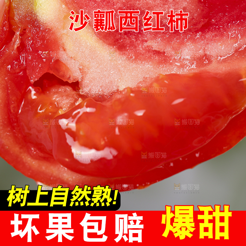 手里拿着米易沙瓤西红柿