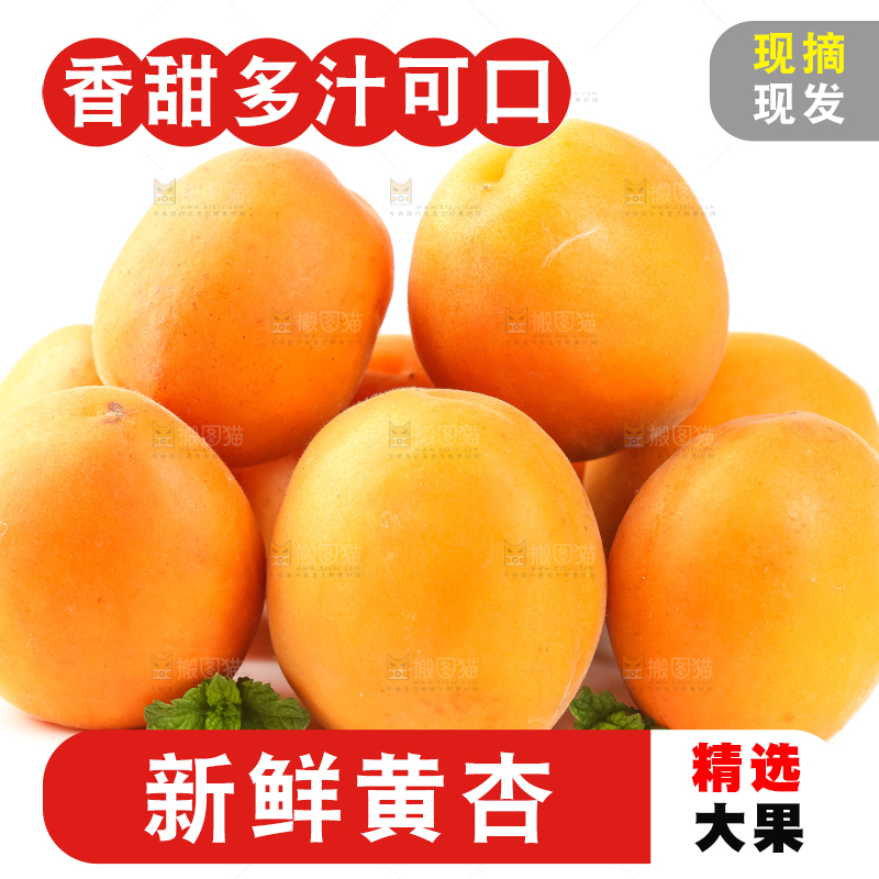 白底上放着陕西新鲜大黄杏