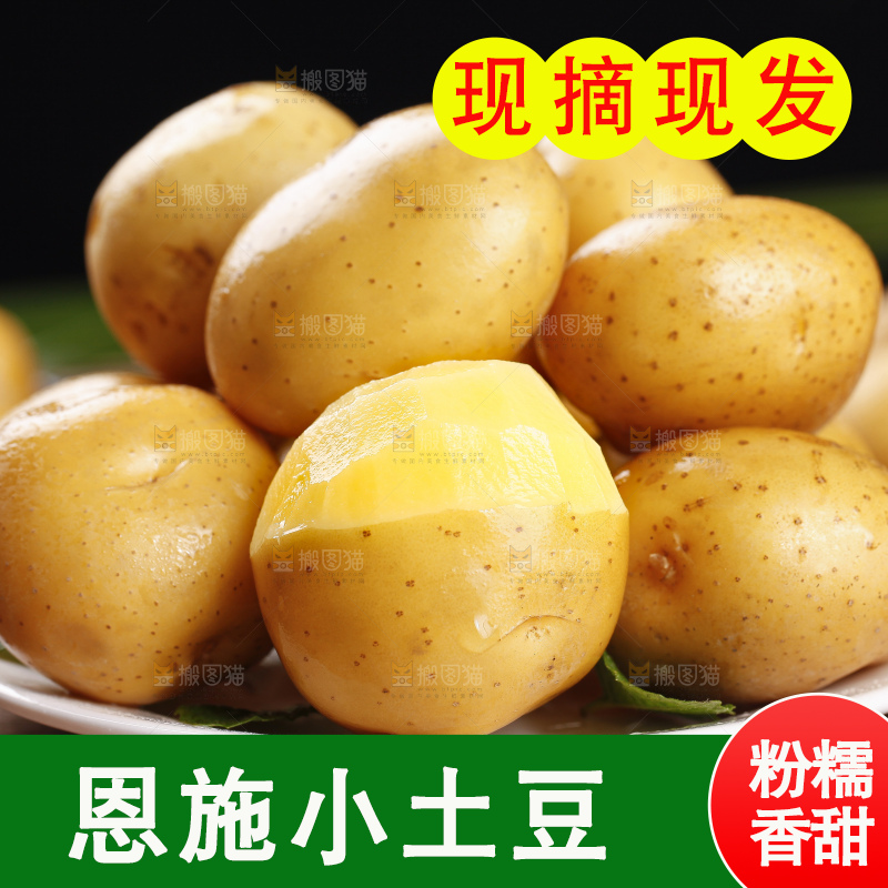 深底上的宜昌小土豆