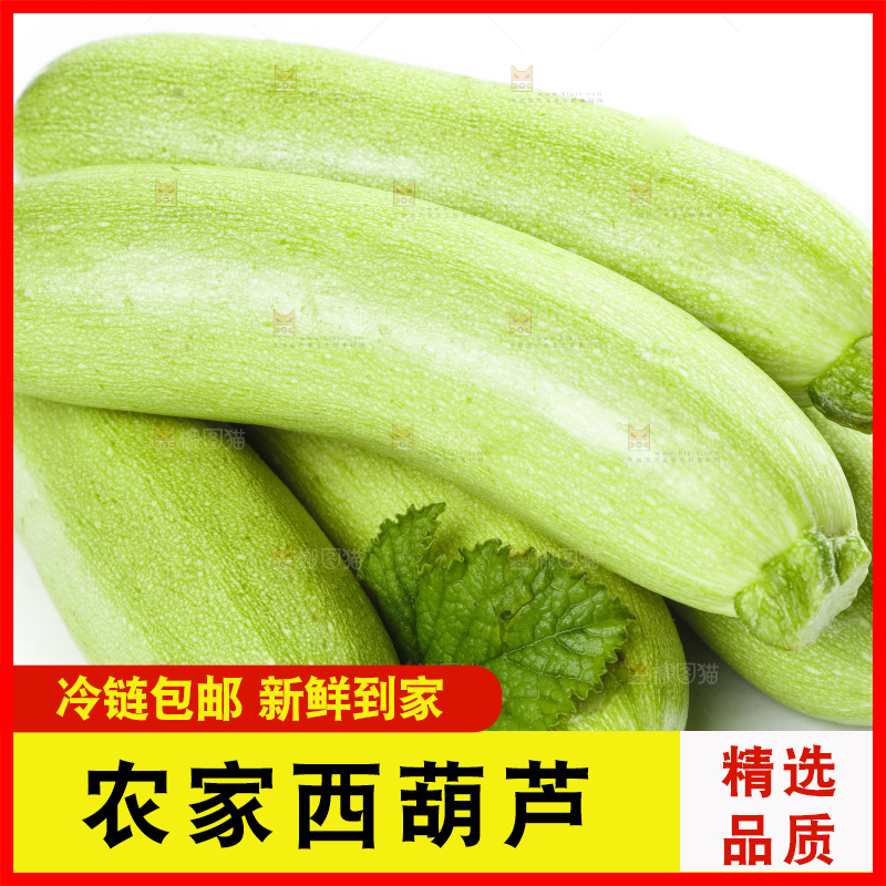 白底上摆放着云南小瓜