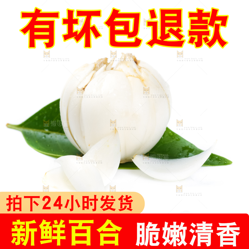 枝叶上摆放着鲜百合