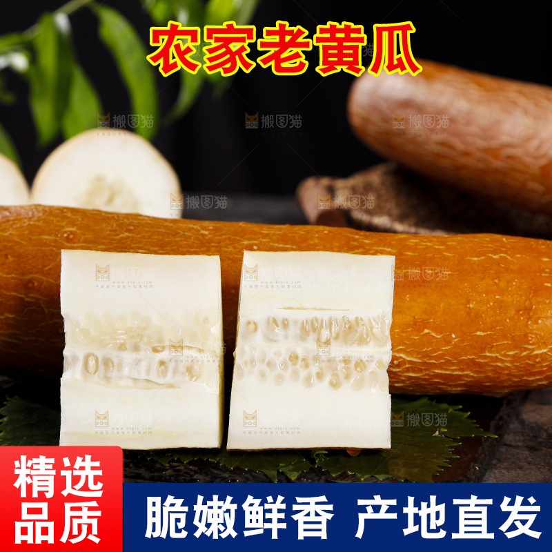 深底上的老黄瓜
