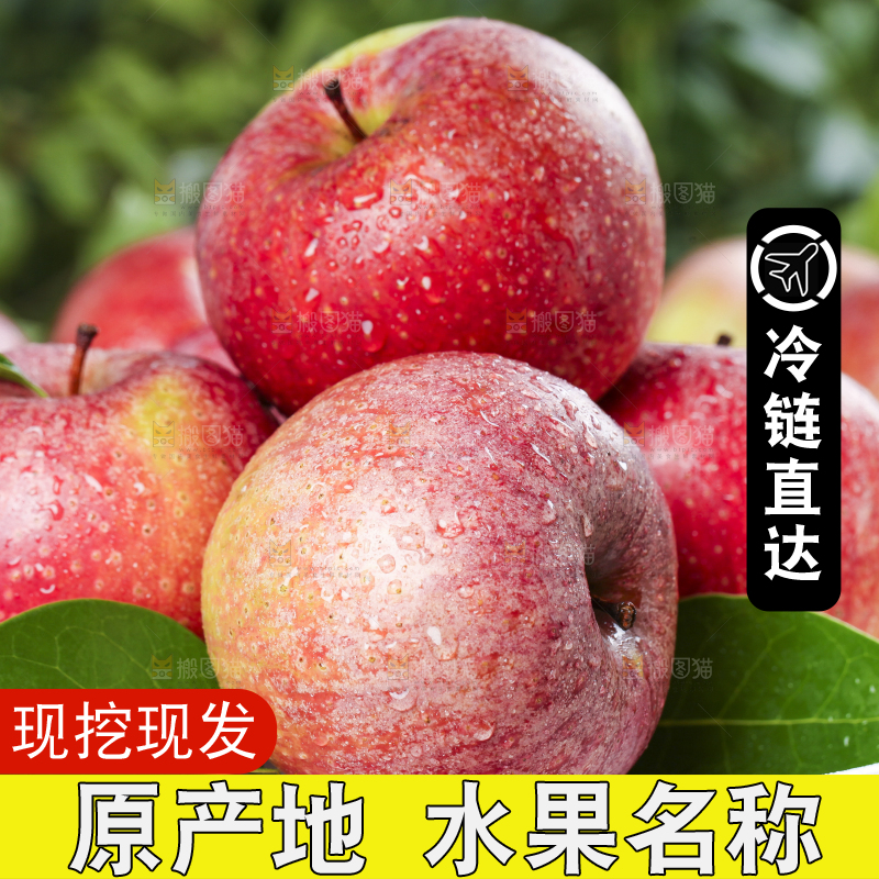 黑底上摆放着秦冠丑苹果