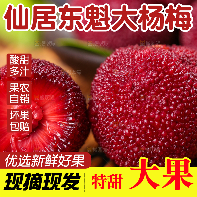 深底上放着余姚杨梅