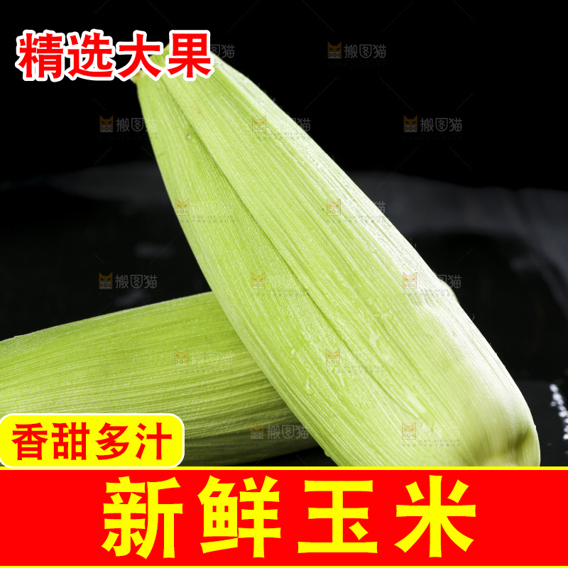 黑底上的云南水果玉米