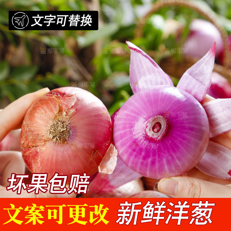 手上拿着皮洋葱