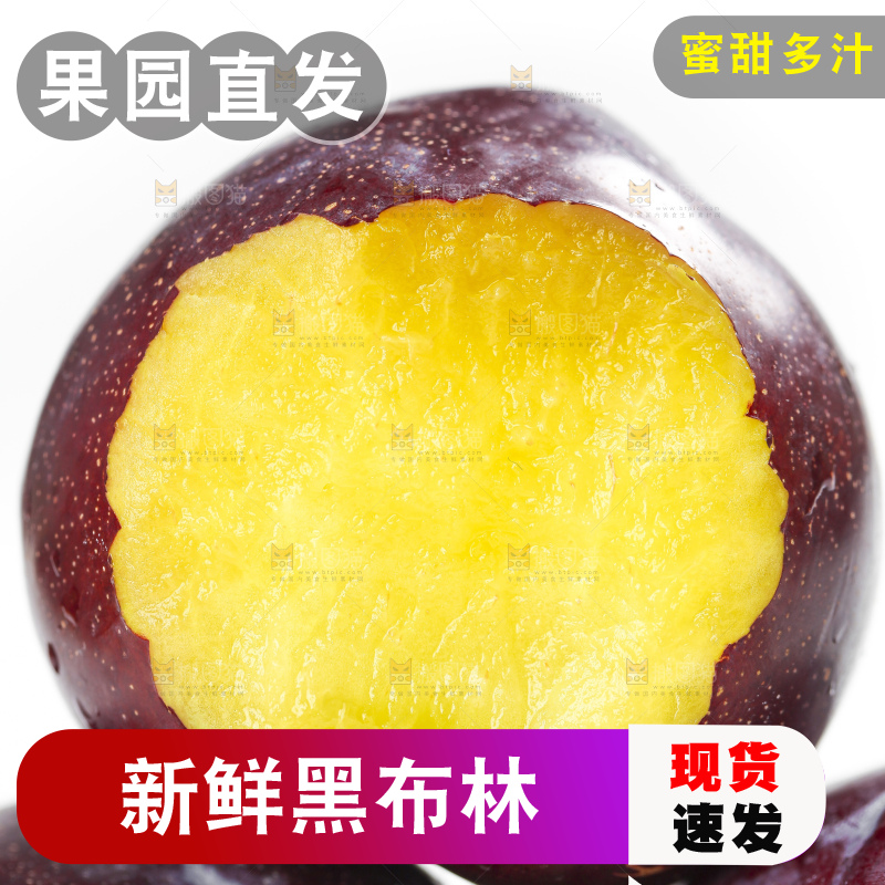白底上放着智利黑布林李子