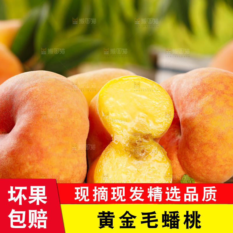 竹底上的黄肉毛蟠桃