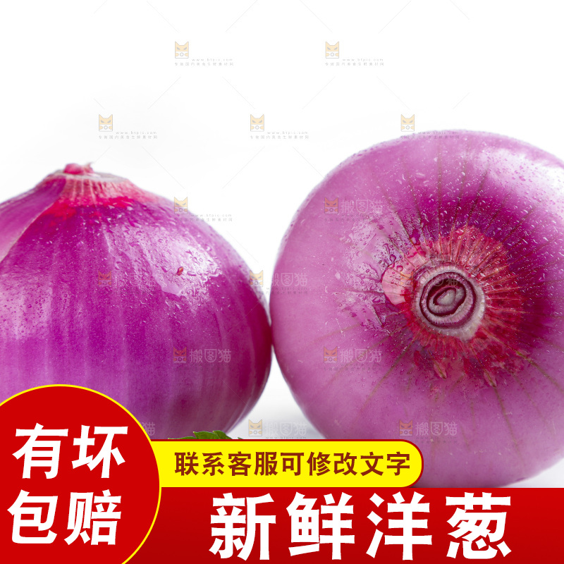 白底上的新鲜洋葱