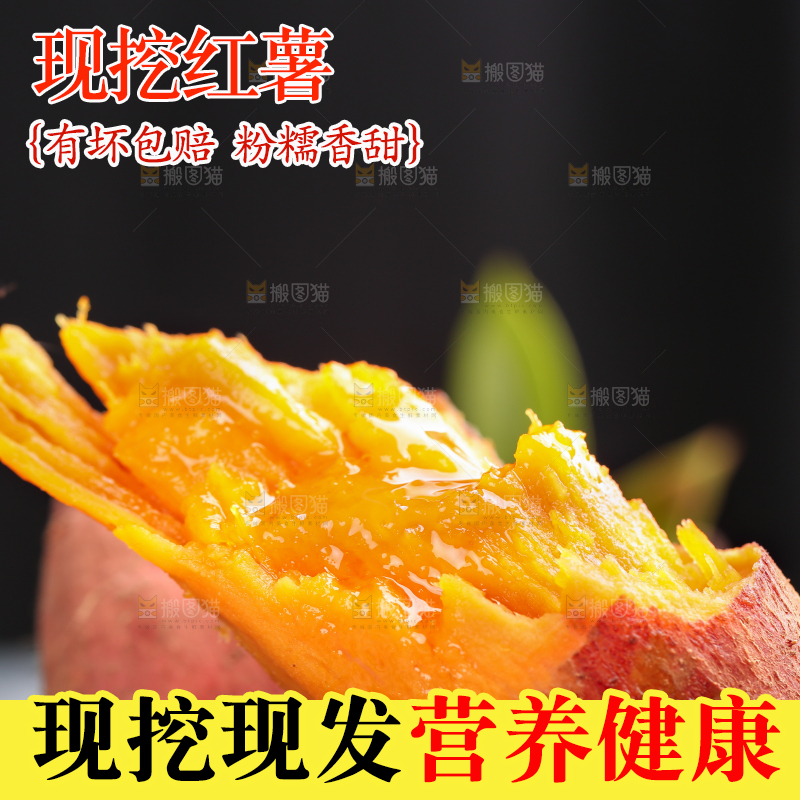 手上拿着福建六鳌蜜薯