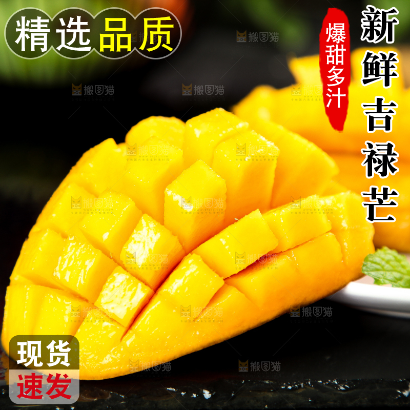 黑石板上的四川吉禄芒