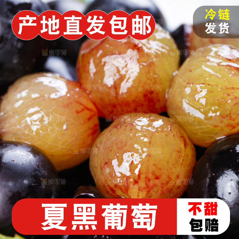 盘子里装着夏黑葡萄
